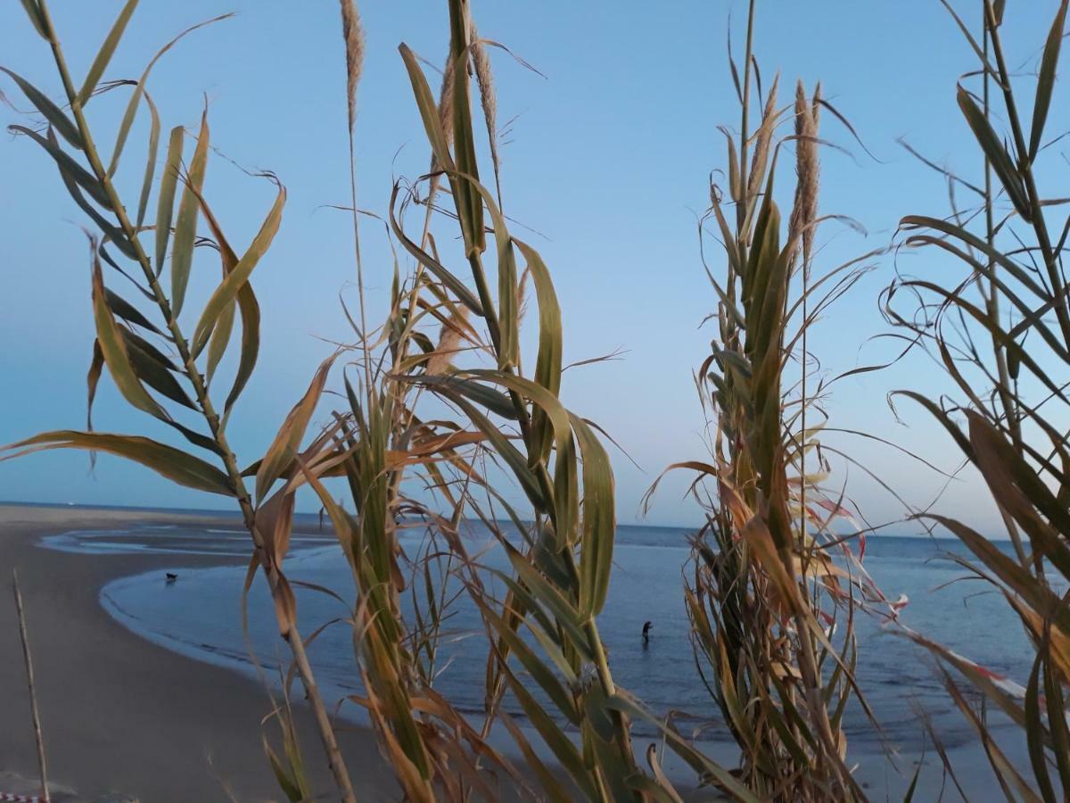 Rincon Canela Διαμέρισμα Ayamonte Εξωτερικό φωτογραφία